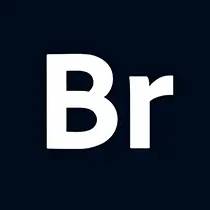 Adobe Bridge 2026(矢量绘图软件) v16.0.8.10.00 直装版 