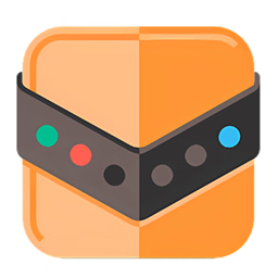 Reg Organizer(注册表整理工具) v9.95 中文绿色版 